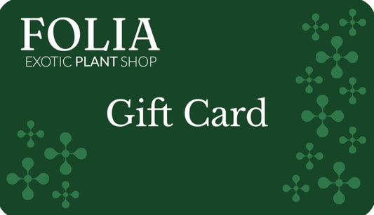 Folia Gift Card